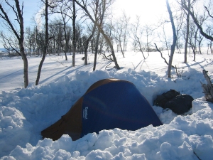 Vintertältplats i björkskogen på Getryggen